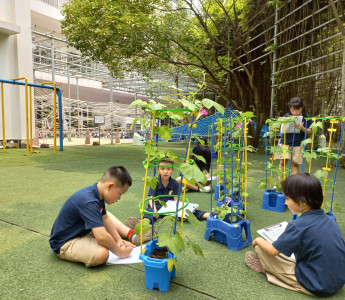 Những nét nổi bật của chương trình giáo dục Nhật Bản tại JIS
