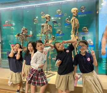 Chùm ảnh: Học sinh lớp 3 tham quan Bảo tàng Thiên nhiên Việt Nam